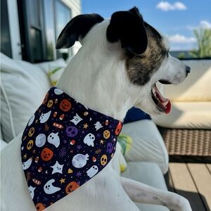 Halloween Themed Reversible Bandana with Ghosts, Pumpkins and Black cats